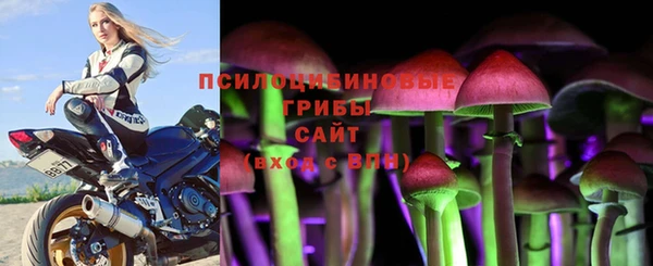 прущие крисы Абаза