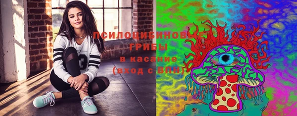 мяу мяу мука Покачи