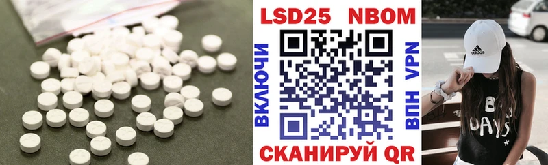 дарнет шоп  Зубцов  Лсд 25 экстази ecstasy 