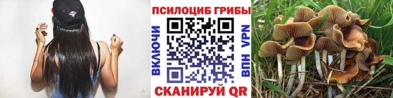 Галлюциногенные грибы MAGIC MUSHROOMS  OMG маркетплейс  Зубцов 