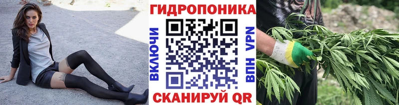 Конопля Bruce Banner  Зубцов 